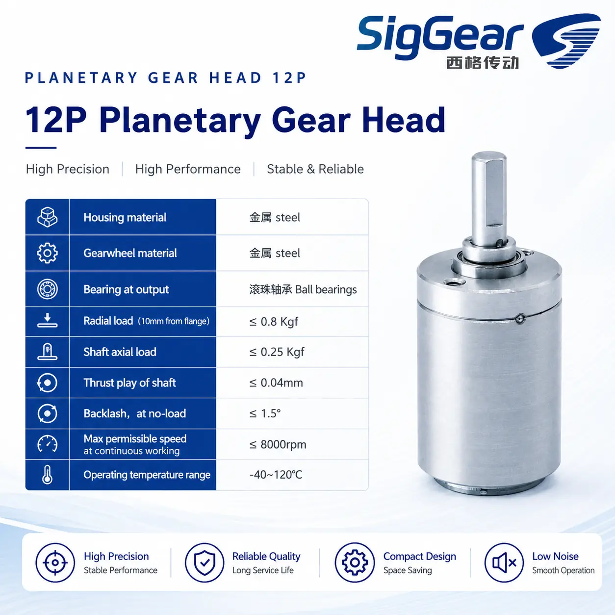 12P planetary gearbox mechanical details and operating limits